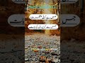 New Short Videos New Sad Shayari Short Videos Best Short Videos Viral Short Videos Urdu Shayari