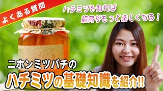 自家製天然ハチミツのよくある質問に回答！【ハチミツ基礎知識】