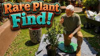 RARE Plant Find! 🌿 Planting a Dorstenia Gigas + Lowe’s Clearance Plants & Money-Saving Tips