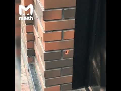 По словам эксперта В Жк Ясный Стреляли из Охотничего карабина