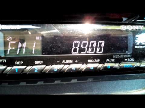 89.0 R. Tinamar, Vega de San Mateo, Canarias-Baeza 1578km