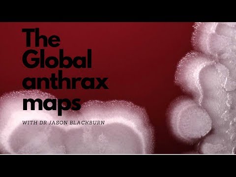 Global anthrax maps with Jason Blackburn, PhD