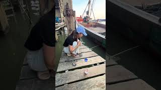 Download lagu Mari mancing udang galah  #fishing #ladyangler #mancing #angler #mancingmania mp3