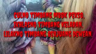 Download lagu STORY WA-TRESNO KEPENGGAK MORO TUO mp3