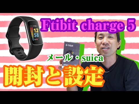 毎日のスポーツライフを始めましょう: これが Fitbit のセットアップ方法です