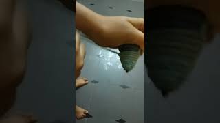 how to spin a top