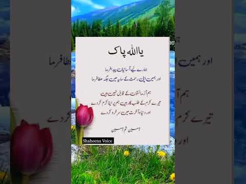 Islamic Quotes#shorts#shaheena voice#viral#ytshorts
