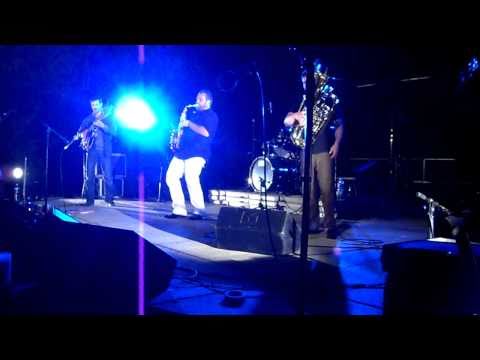 LéZards dans la rue 2010 - Slobodan Experiment - I