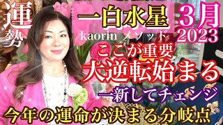 ここから大逆転変化のエネルギーに乗って望む未来へ軌道修正【一白水星2023年3月の運勢】心の豊かさと現実を豊かに創造する九星気学の運命好転術の奥義とスピリチュアル『真理』の視点から真の開運方法をお伝え