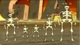 History Science People  Giant Human Skeleton Discovered