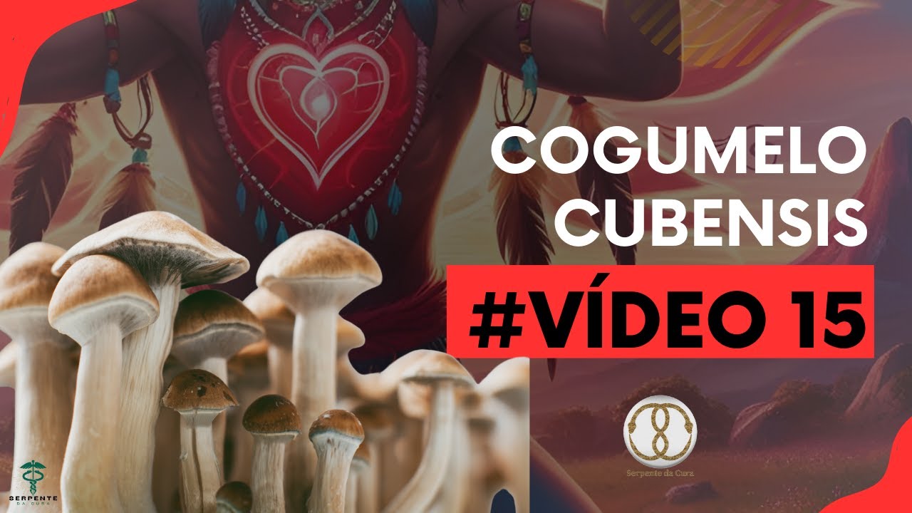 Vídeo 15 - Plantas de Poder: Cogumelos Cubensis