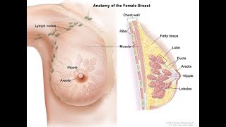 Symptoms of breast cancer explained by Dr. Zee