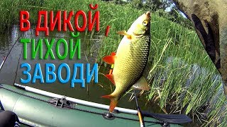 Ссылка