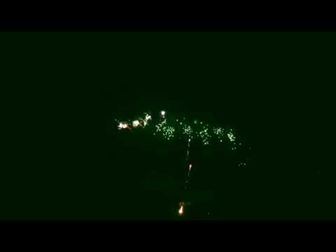 SCF734 - 100s 30mm Red & Green Leaf w Blue Star 'Z' shape