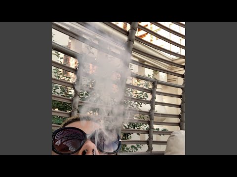 Video thumbnail for Bin L