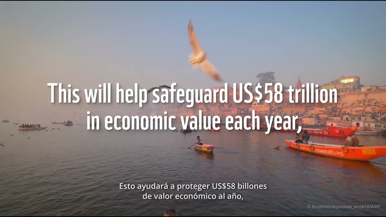¿Cuánto vale el agua? Informe: Hight cost of cheap water