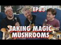 Taking Magic Mushrooms With Mike Cannon Adam Gilbert Chris Distefano Is Chrissy Chaos EP 83