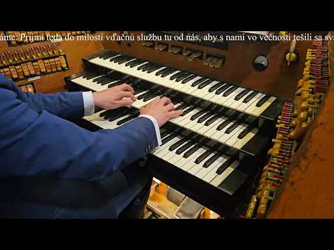 JKS 247 - Ó, Ježišu, náš najmilší (Dóm sv. Alžbety)