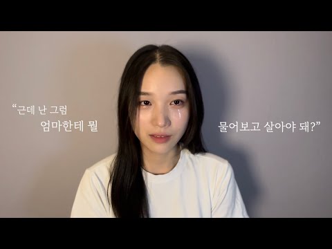 비디오 11