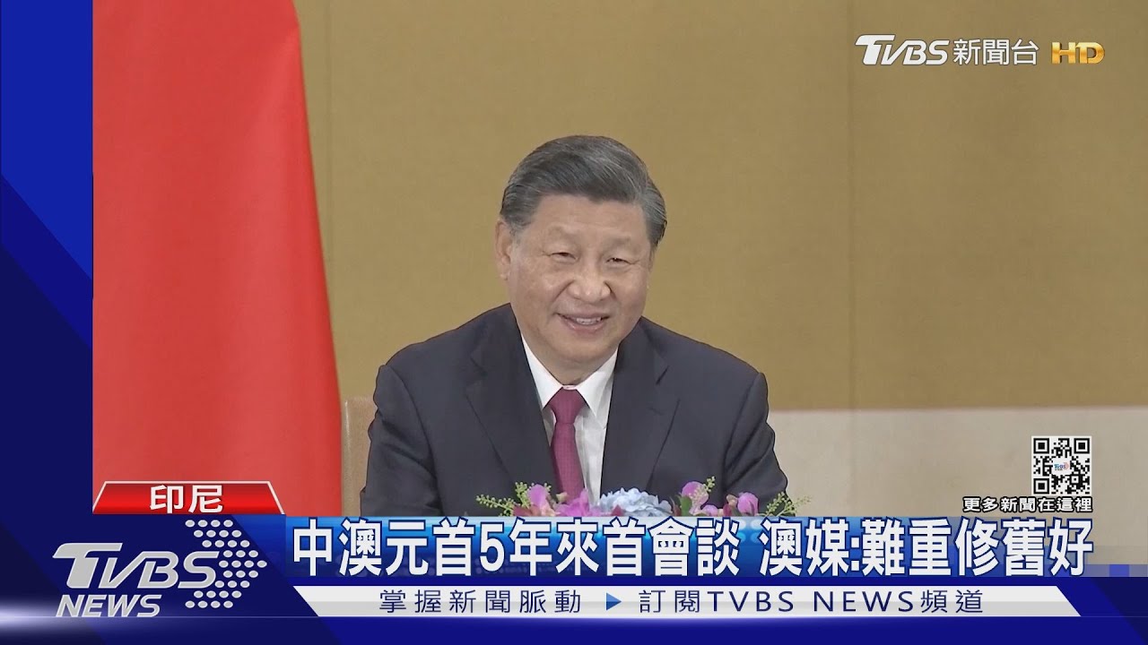 G20秀大國外交 習近平1日會8國領袖