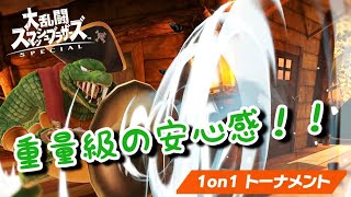 【スマブラSP】体は重く、気持ちは軽く！【全キャラVIP/キングクルール】