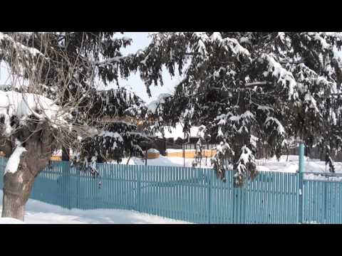 Singureni judetul Giurgiu