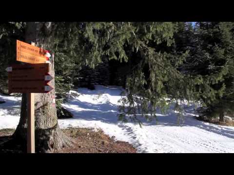 Fossa del lupo e palude del morto: con le ciaspole attorno a Nova Levante