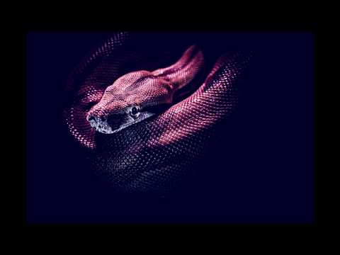 Young Thug x Drake Type Beat – "Elicit"