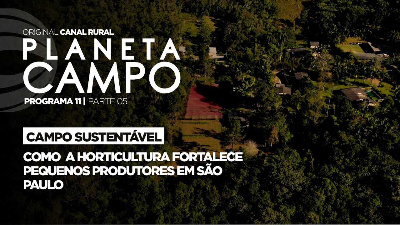Como a horticultura fortalece pequenos produtores em São Paulo | Planeta Campo - ep.11 parte 5