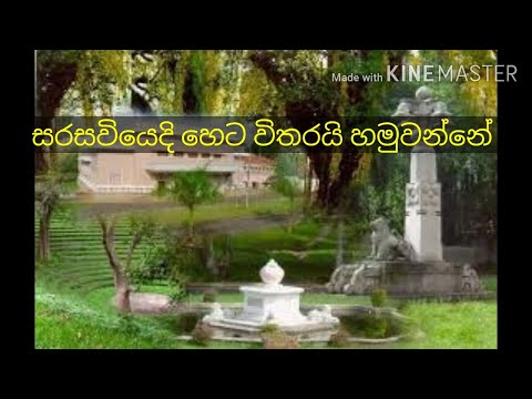 Sarasawiyedi heta witharai hamuwanne - Dayarathne Ranathunga