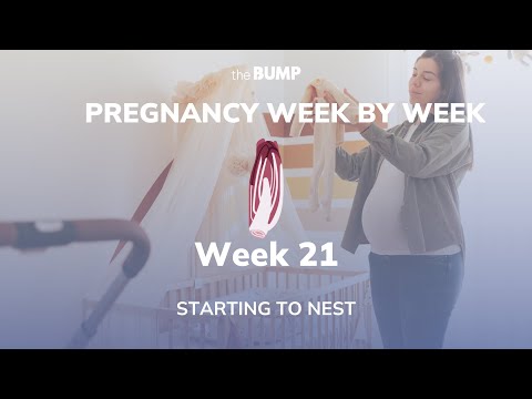 This week in Babyland (Week 21)
