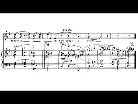 Charles Ives - On the Counter