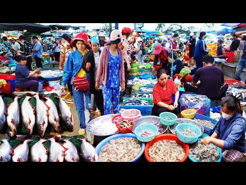 Food Rural TV, Early morning​ Fish Market Screen, Activities of fish buyers to sell in other markets