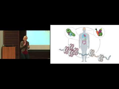 3 Minute Thesis Competition 2017 - 2nd Place: Sydney Thomas