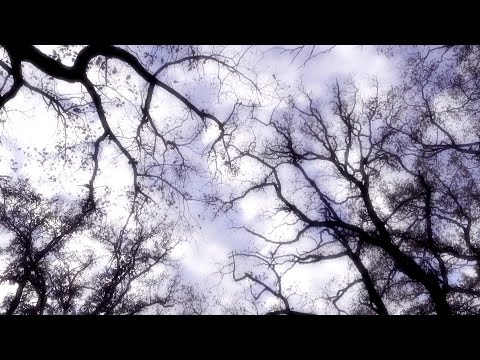 Bruno Krajcar i Lea Dekleva - Igracka vjetrova