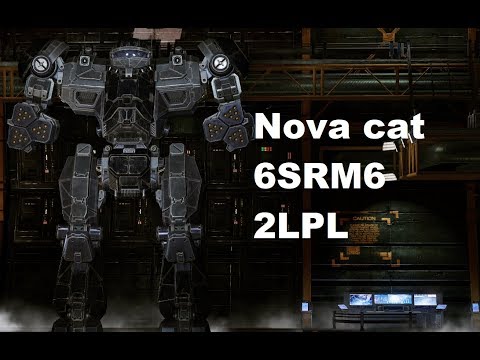 Mechwarrior Online : NCT-B "Max DPS" (6xSRM6, 2LPL)