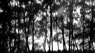 Max Richter - Horizon Variations 720p HD