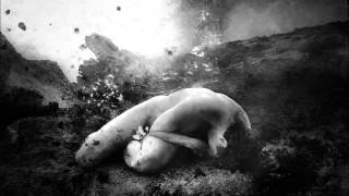 Aereogramme - No Really Everything Is Fine