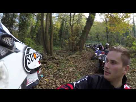 Oskarr & Co Žutnica 2016