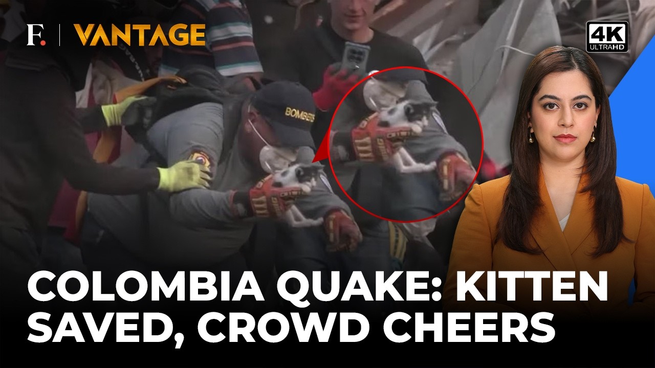 Colombia: Kitten Pulled from Rubble After Earthquake | Vantage on Firstpost | 4K