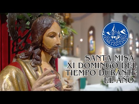 Santa Misa. 11° Domingo del tiempo ordinario. Catedral de Concepción. Tucumán 