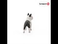 Miniature vidéo Figurine bouledogue français