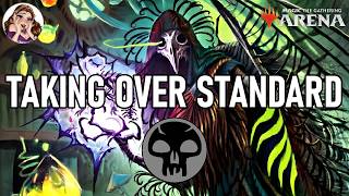 We Cant LOSE To Control Now - MTG Standard