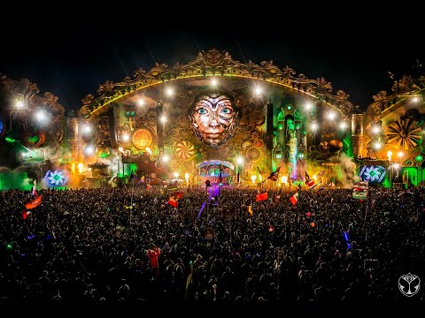 TomorrowWorld 2015 |  David Guetta