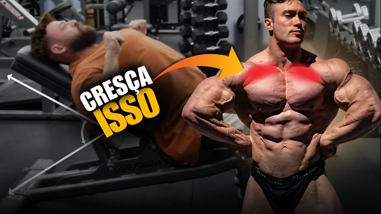 OS 3 ÚNICOS EXERCICIOS PARA SUPERIOR DE PEITORAL QUE VOCE PRECISA