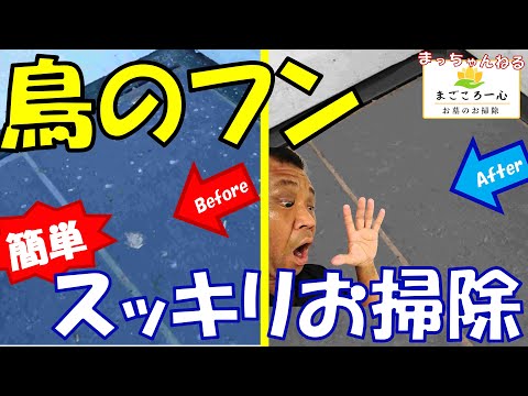 鳥の糞からテラスを掃除する方法