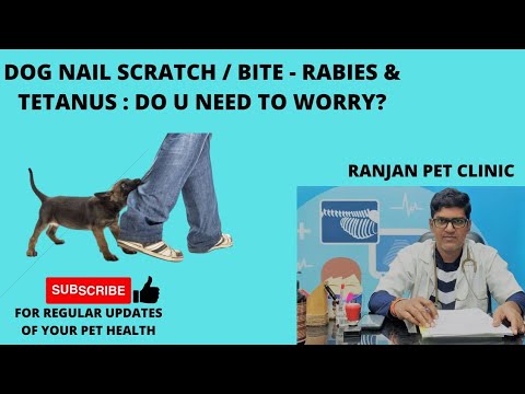 Dog / puppy nail scratch / bite - rabies & tetanus : do u need to worry? #rabies #doglover #viral