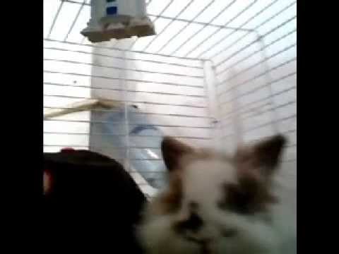 2013 NHL Playoffs : Second Round Predictions