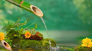 Música para dormir Profundamente, Sana la Mente, Sueño Profundo