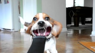 Miniature vidéo